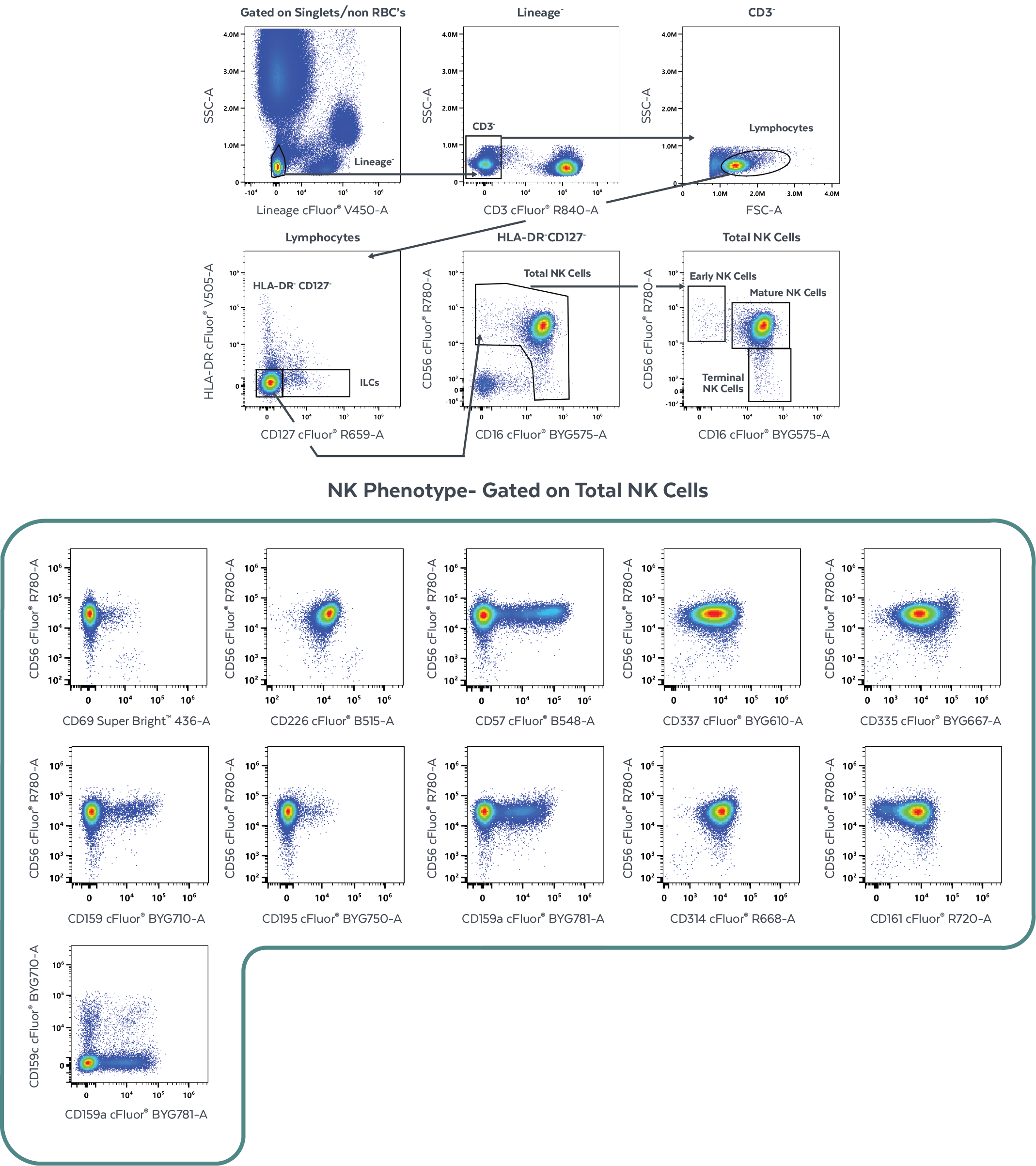 Cytek® 16-Color NK Cell Immunoprofiling Panel | Cytek Biosciences